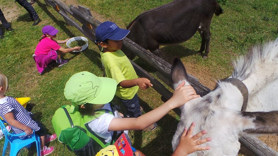 La Fattoria Didattica – Cavallino Lovely Hotel Vacanze con i bambini ad Andalo in Trentino