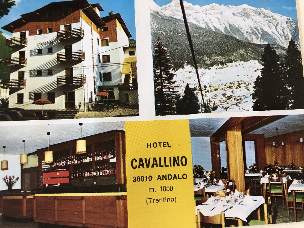 le origini di Hotel Cavallino