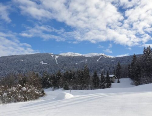 Uno spettacolo di neve