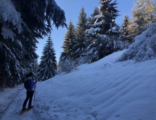 Divertimento sulle ciaspole