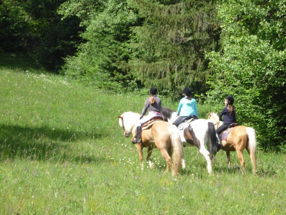 A cavallo nei dintorni di Andalo estate sulla paganella
