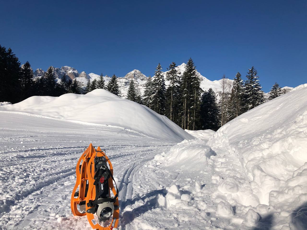 Hotel Cavallino Andalo estate e inverno vacanza attiva