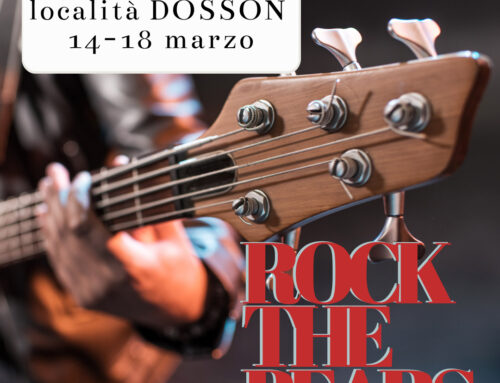 Rock The Bears