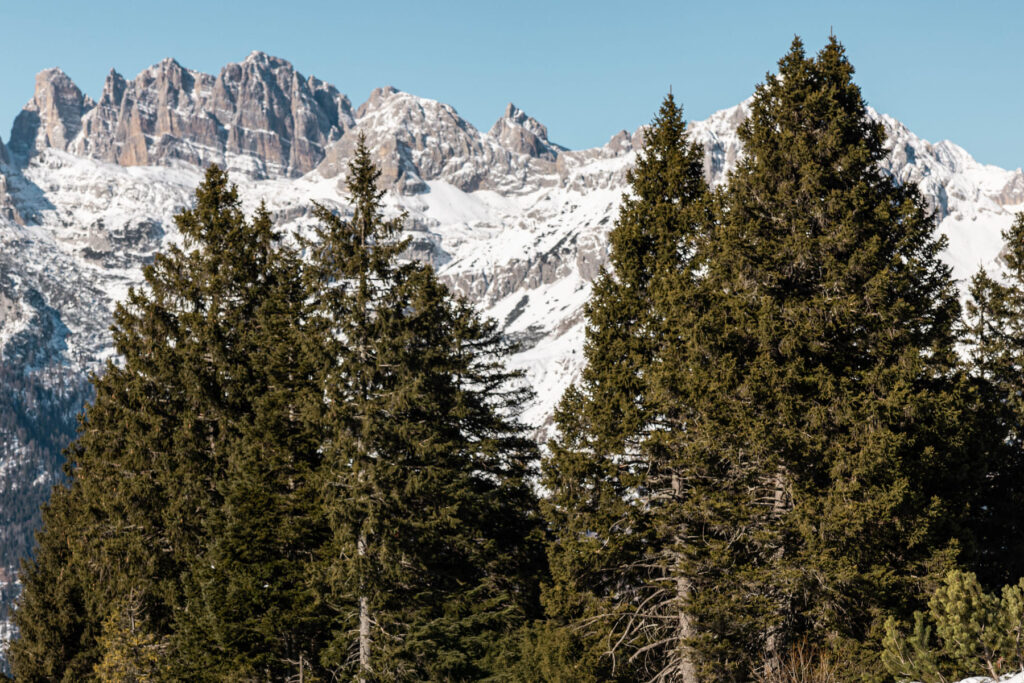 Vacanza attiva dolomiti cavallino lovely hotel bike andalo trentino
